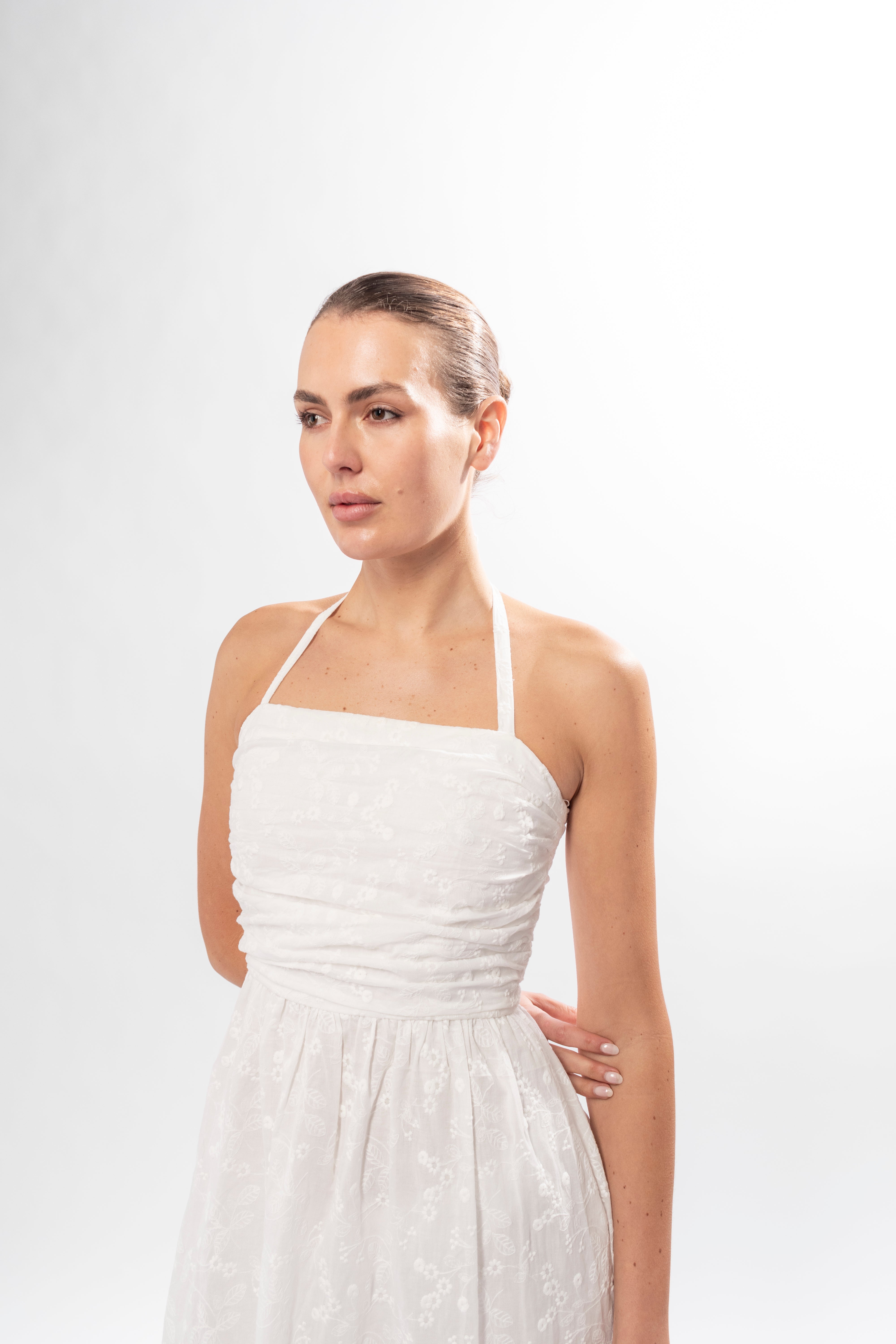 Holly Embroidery Dress